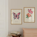 pinky butterfly