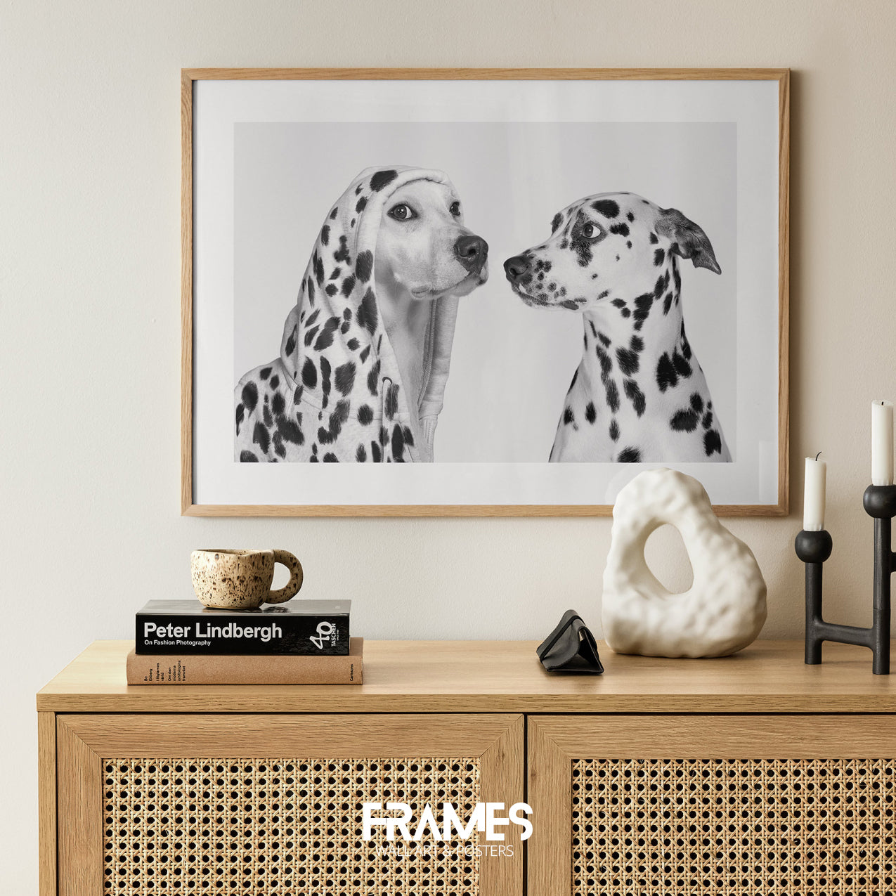 Dalmatian dogs