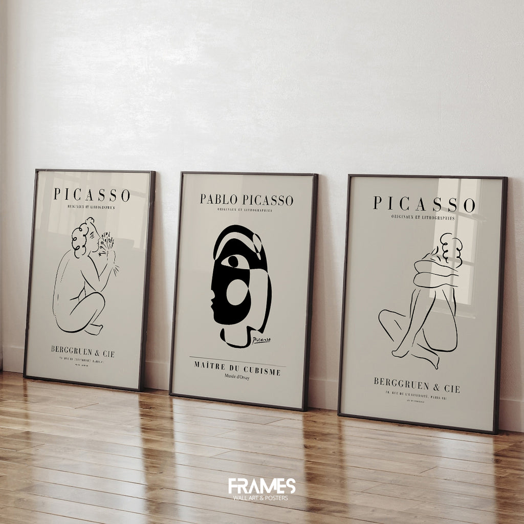 picasso set
