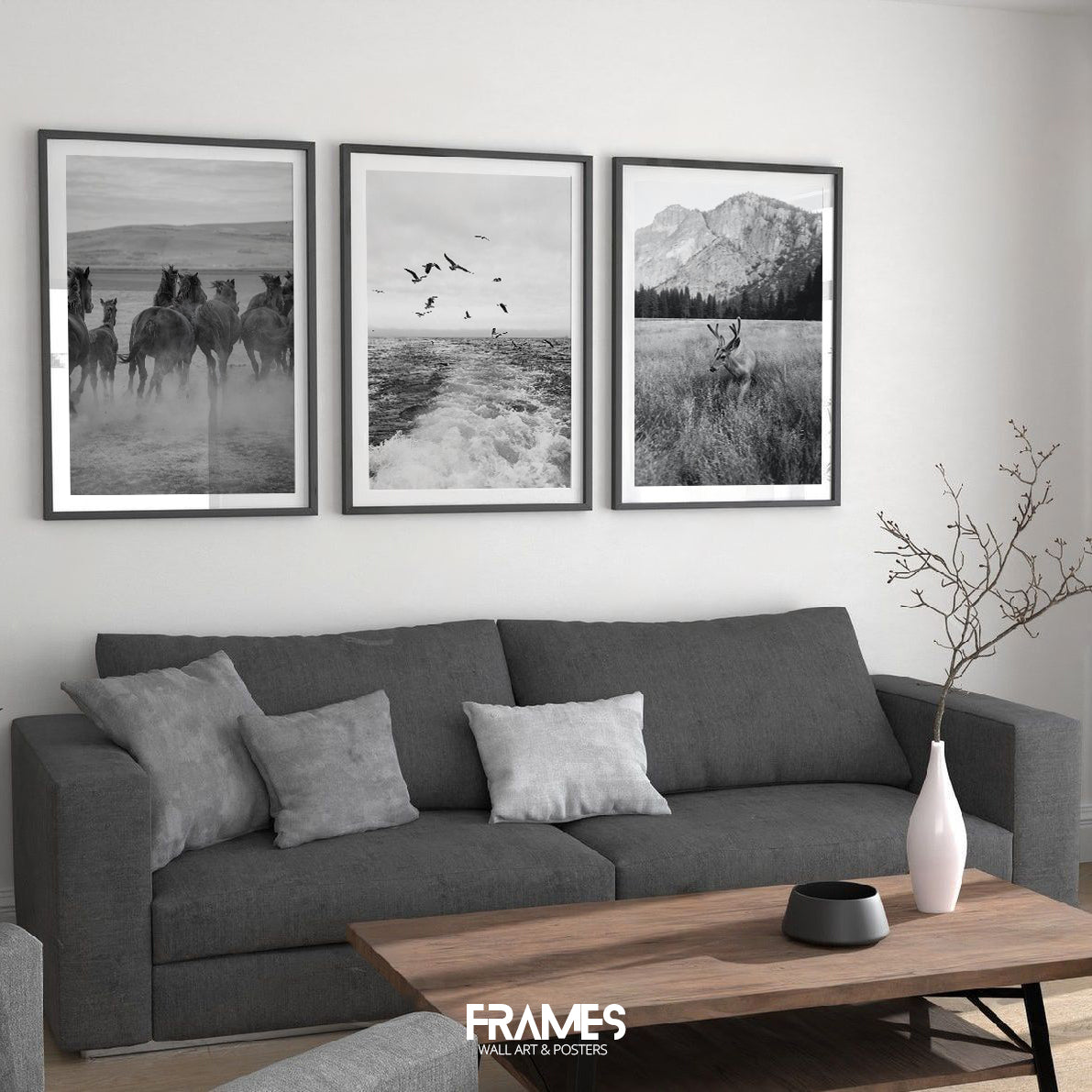 black & white wild